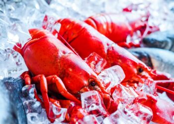 Conto salato in un ristorante di Ponza: due aragoste a 600 euro