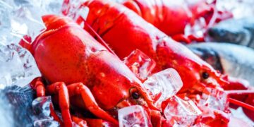 Conto salato in un ristorante di Ponza: due aragoste a 600 euro