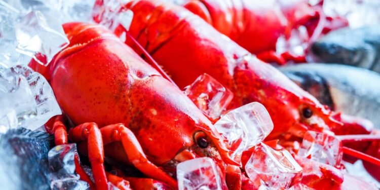 Conto salato in un ristorante di Ponza: due aragoste a 600 euro