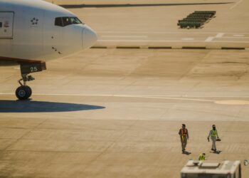 Bird strike a Palermo: volo Ita Airways costretto al rientro d’emergenza