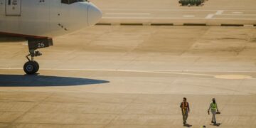 Bird strike a Palermo: volo Ita Airways costretto al rientro d’emergenza