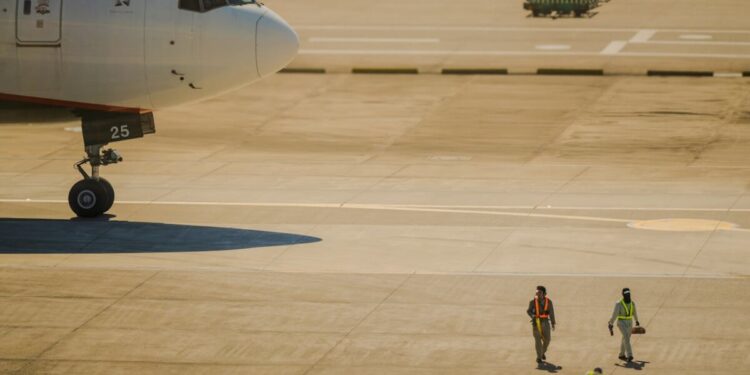 Bird strike a Palermo: volo Ita Airways costretto al rientro d’emergenza