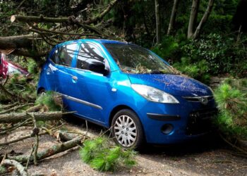 Violenta tempesta di vento nel Trevigiano: oltre 85 interventi dei Vigili del Fuoco