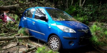 Violenta tempesta di vento nel Trevigiano: oltre 85 interventi dei Vigili del Fuoco