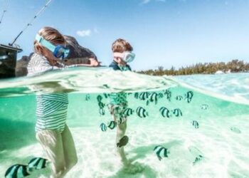 Mauritius con bambini: la meta ideale per una vacanza in famiglia tra natura, mare e avventura