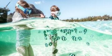 Mauritius con bambini: la meta ideale per una vacanza in famiglia tra natura, mare e avventura